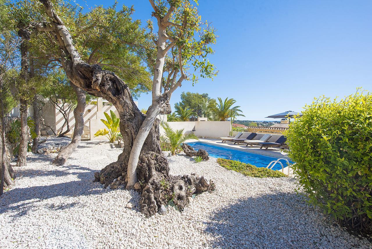 קלפה Villa Benavero Boutique Style Within Fenced Tropical Garden מראה חיצוני תמונה