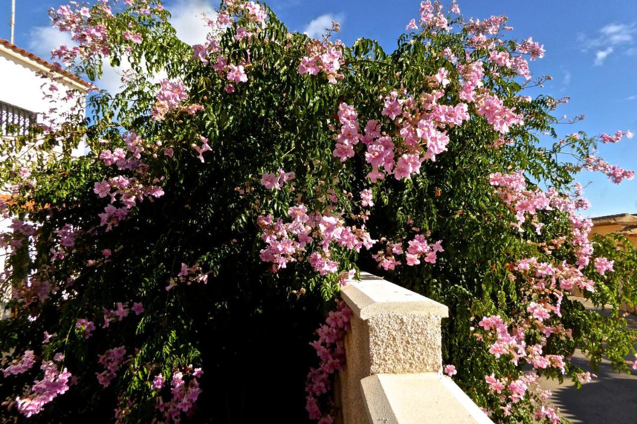 קלפה Villa Benavero Boutique Style Within Fenced Tropical Garden מראה חיצוני תמונה