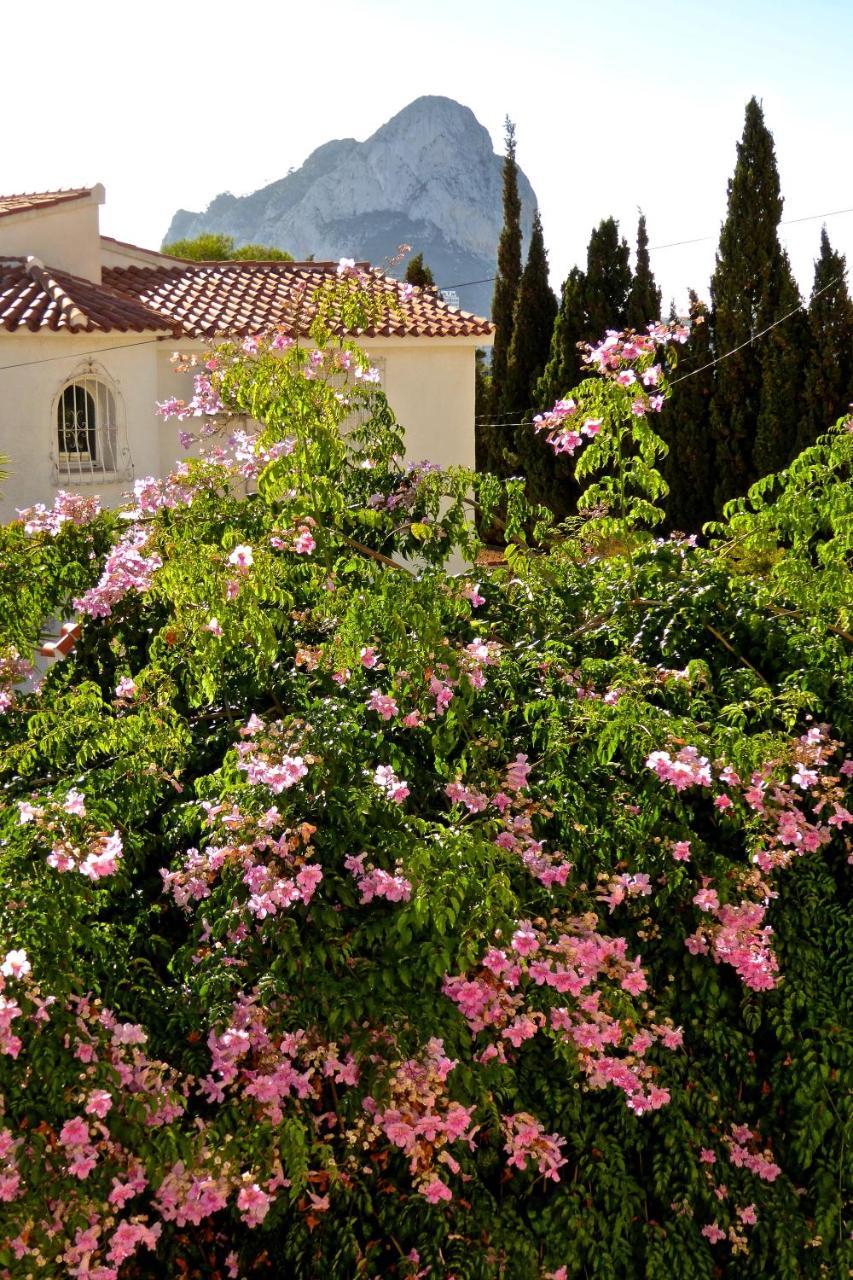 קלפה Villa Benavero Boutique Style Within Fenced Tropical Garden מראה חיצוני תמונה